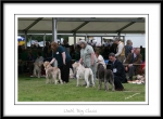 Filename=LimitDogClass-1.jpg
Filesize=276KiB
Dimensions=1150x850
Date added=Feb 23, 2013 LimitDogClass-1.jpg