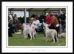 Filename=LimitDogClass-2.jpg
Filesize=290KiB
Dimensions=1150x850
Date added=Feb 23, 2013 LimitDogClass-2.jpg