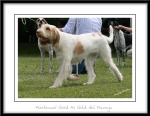 Filename=M-GoodAsGold-2.jpg
Filesize=312KiB
Dimensions=1050x816
Date added=Feb 23, 2013 M-GoodAsGold-2.jpg