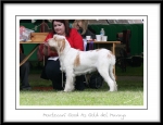 Filename=M-GoodAsGold-4.jpg
Filesize=275KiB
Dimensions=1050x808
Date added=Feb 23, 2013 M-GoodAsGold-4.jpg