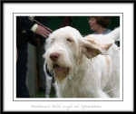 Filename=M-JustLoyal-4.jpg
Filesize=225KiB
Dimensions=1052x889
Date added=Feb 23, 2013 M-JustLoyal-4.jpg