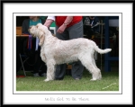 Filename=N-GotToBeThere-2.jpg
Filesize=249KiB
Dimensions=1052x838
Date added=Feb 23, 2013 N-GotToBeThere-2.jpg