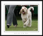 Filename=N-GotToBeThere-4.jpg
Filesize=297KiB
Dimensions=1052x894
Date added=Feb 23, 2013 N-GotToBeThere-4.jpg