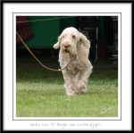 Filename=N-LuvToBoogie-4.jpg
Filesize=290KiB
Dimensions=1052x1050
Date added=Feb 23, 2013 N-LuvToBoogie-4.jpg