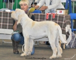 Filename=G-Roccamonfina.jpg
Filesize=109KiB
Dimensions=750x592
Date added=Feb 23, 2013 G-Roccamonfina.jpg