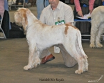 Filename=H-KirRoyale.jpg
Filesize=104KiB
Dimensions=750x601
Date added=Feb 23, 2013 H-KirRoyale.jpg