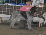 Filename=L-Whatchamacallit.jpg
Filesize=105KiB
Dimensions=750x586
Date added=Feb 23, 2013 L-Whatchamacallit.jpg