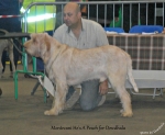 Filename=M-HesAPeach.jpg
Filesize=106KiB
Dimensions=750x616
Date added=Feb 23, 2013 M-HesAPeach.jpg
