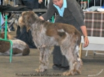 Filename=P-Muddle.jpg
Filesize=105KiB
Dimensions=750x556
Date added=Feb 23, 2013 P-Muddle.jpg