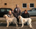 Filename=BOB&BP.jpg
Filesize=122KiB
Dimensions=750x606
Date added=Feb 23, 2013 BOB&BP.jpg