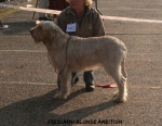 Filename=F-BlondeAmbition.jpg
Filesize=122KiB
Dimensions=700x543
Date added=Feb 23, 2013 F-BlondeAmbition.jpg