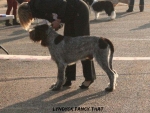 Filename=L-FancyThat.jpg
Filesize=103KiB
Dimensions=700x528
Date added=Feb 23, 2013 L-FancyThat.jpg