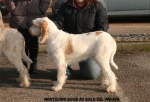 Filename=M-GoodAsGold.jpg
Filesize=103KiB
Dimensions=750x510
Date added=Feb 23, 2013 M-GoodAsGold.jpg
