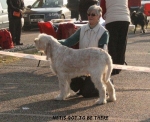 Filename=N-GotToBeThere.jpg
Filesize=109KiB
Dimensions=700x572
Date added=Feb 23, 2013 N-GotToBeThere.jpg