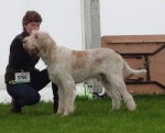 Filename=L-Glenglassaugh.jpg
Filesize=295KiB
Dimensions=700x568
Date added=Feb 23, 2013 L-Glenglassaugh.jpg