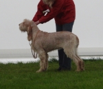 Filename=M-JustWistful.jpg
Filesize=277KiB
Dimensions=700x607
Date added=Feb 23, 2013 M-JustWistful.jpg