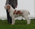 Filename=R-Luciano.jpg
Filesize=291KiB
Dimensions=700x591
Date added=Feb 23, 2013 R-Luciano.jpg