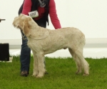 Filename=T-Aten.jpg
Filesize=307KiB
Dimensions=700x586
Date added=Feb 23, 2013 T-Aten.jpg