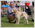 Filename=A-Fabrizio.jpg
Filesize=492KiB
Dimensions=1047x850
Date added=May 26, 2014 A-Fabrizio.jpg