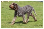 Filename=J-Phoebe-1.jpg
Filesize=662KiB
Dimensions=1284x850
Date added=May 26, 2014 J-Phoebe-1.jpg
