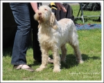 Filename=L-EcclesCake-1.jpg
Filesize=553KiB
Dimensions=1064x850
Date added=May 26, 2014 L-EcclesCake-1.jpg
