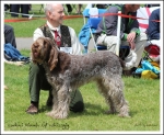 Filename=L-Niamh.jpg
Filesize=554KiB
Dimensions=1035x850
Date added=May 26, 2014 L-Niamh.jpg