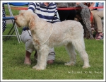 Filename=N-GotToBeThere.jpg
Filesize=544KiB
Dimensions=1099x850
Date added=May 26, 2014 N-GotToBeThere.jpg