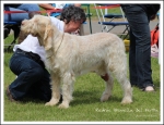 Filename=R-Brunella.jpg
Filesize=506KiB
Dimensions=1107x850
Date added=May 26, 2014 R-Brunella.jpg
