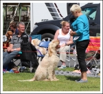 Filename=Ringside-09.jpg
Filesize=448KiB
Dimensions=928x850
Date added=May 26, 2014 Ringside-09.jpg