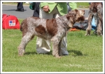 Filename=Tina-DellAdige.jpg
Filesize=644KiB
Dimensions=1207x850
Date added=May 26, 2014 Tina-DellAdige.jpg