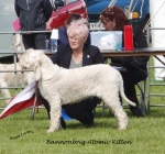 Filename=B-AtomicKitten.jpg
Filesize=227KiB
Dimensions=700x655
Date added=May 26, 2014 B-AtomicKitten.jpg