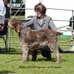 Filename=Bella-DelMongioie.jpg
Filesize=272KiB
Dimensions=700x697
Date added=May 26, 2014 Bella-DelMongioie.jpg