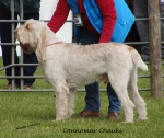 Filename=C-Chauki.jpg
Filesize=206KiB
Dimensions=700x591
Date added=May 26, 2014 C-Chauki.jpg