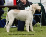 Filename=C-OlympicDream.jpg
Filesize=175KiB
Dimensions=700x560
Date added=May 26, 2014 C-OlympicDream.jpg
