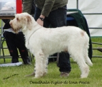 Filename=D-FiglioDiUnaPesca.jpg
Filesize=191KiB
Dimensions=700x598
Date added=May 26, 2014 D-FiglioDiUnaPesca.jpg