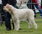 Filename=F-Elena.jpg
Filesize=193KiB
Dimensions=700x567
Date added=May 26, 2014 F-Elena.jpg