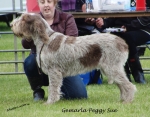 Filename=G-PeggySue.jpg
Filesize=207KiB
Dimensions=700x549
Date added=May 26, 2014 G-PeggySue.jpg