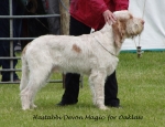 Filename=H-DevonMagic.jpg
Filesize=187KiB
Dimensions=700x537
Date added=May 26, 2014 H-DevonMagic.jpg