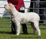 Dateiname=H-LouisDousset.jpg
Dateigröße=211KB
Abmessungen: 700x601
hinzugefügt am: 26. Mai 2014 H-LouisDousset.jpg