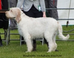 Dateiname=H-YorkshireWarrior.jpg
Dateigröße=179KB
Abmessungen: 700x553
hinzugefügt am: 26. Mai 2014 H-YorkshireWarrior.jpg