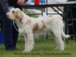 Filename=M-QuellaDOro.jpg
Filesize=181KiB
Dimensions=700x534
Date added=May 26, 2014 M-QuellaDOro.jpg