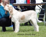 Filename=O-DaintyBess.jpg
Filesize=210KiB
Dimensions=700x559
Date added=May 26, 2014 O-DaintyBess.jpg