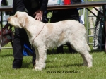 Filename=R-Kemelia.jpg
Filesize=198KiB
Dimensions=700x526
Date added=May 26, 2014 R-Kemelia.jpg