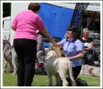 Filename=BOB-1.jpg
Filesize=464KiB
Dimensions=975x850
Date added=May 26, 2014 BOB-1.jpg