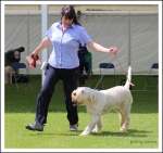 Filename=BOB-2.jpg
Filesize=414KiB
Dimensions=901x850
Date added=May 26, 2014 BOB-2.jpg