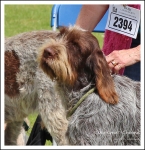Filename=C-Chama-1.jpg
Filesize=423KiB
Dimensions=823x850
Date added=May 26, 2014 C-Chama-1.jpg