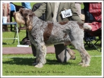 Filename=C-TedBaker-1.jpg
Filesize=766KiB
Dimensions=1119x850
Date added=May 26, 2014 C-TedBaker-1.jpg