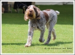 Filename=C-TedBaker.jpg
Filesize=600KiB
Dimensions=1159x850
Date added=May 26, 2014 C-TedBaker.jpg