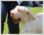 Filename=D-AriaDiUnaPesche-2.jpg
Filesize=430KiB
Dimensions=1053x850
Date added=May 26, 2014 D-AriaDiUnaPesche-2.jpg