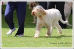 Filename=F-BlondeAmbition-2.jpg
Filesize=668KiB
Dimensions=1279x850
Date added=May 26, 2014 F-BlondeAmbition-2.jpg